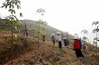 Lai Châu: Dòng nhựa trắng bên dòng Nậm Mu